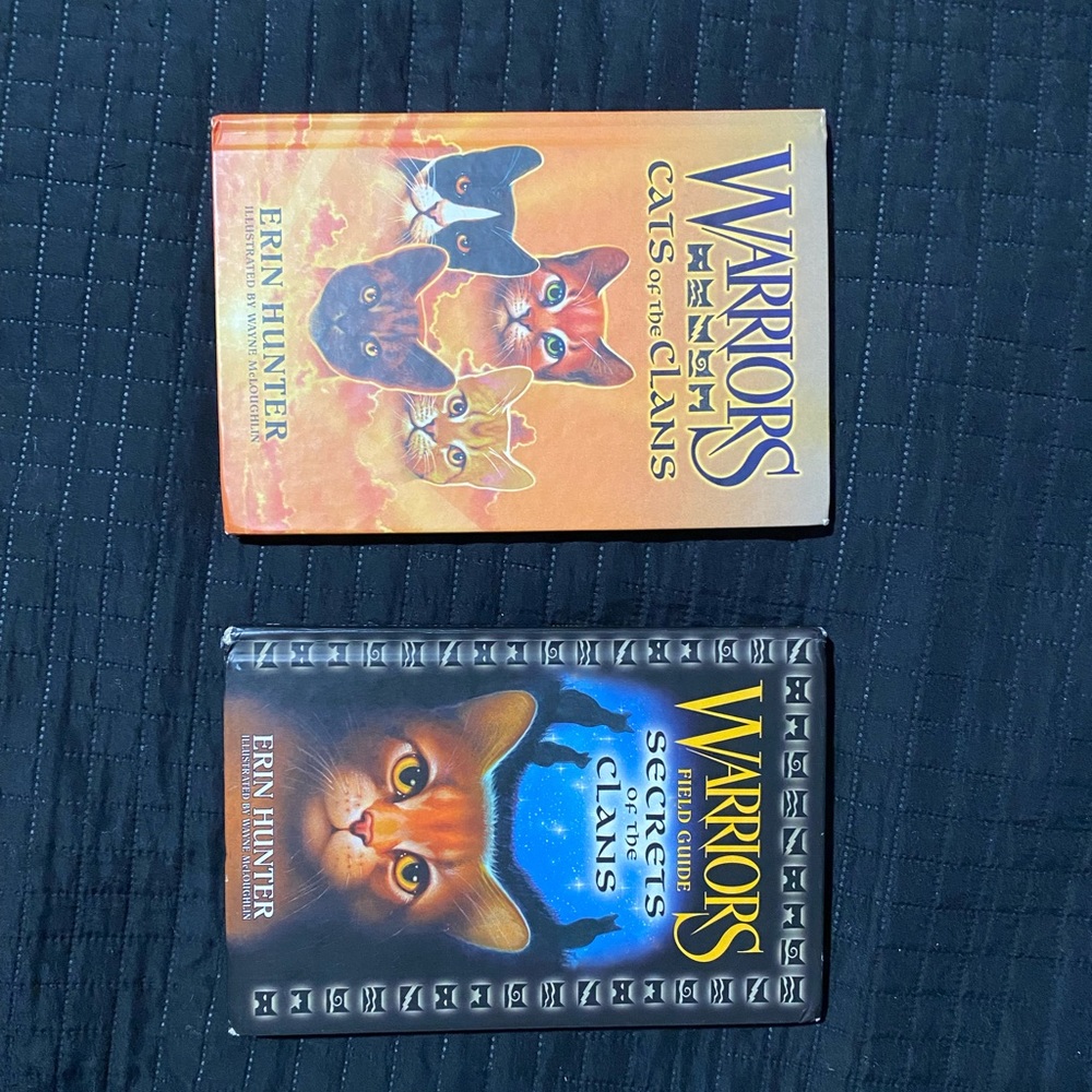 Set of 2 Warriors books